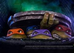 cropped-cropped-turtles.jpg